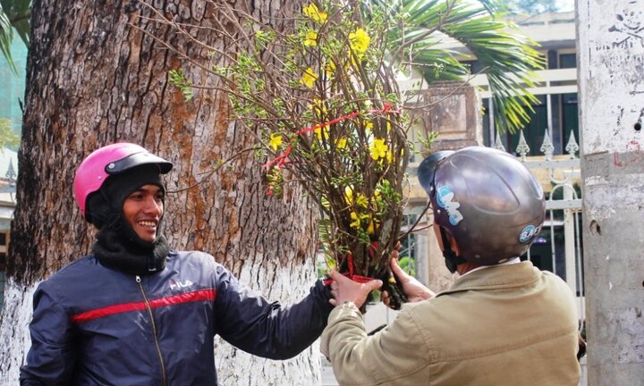 Mai rừng xuống phố, giá 3 triệu đồng vẫn 'cháy hàng'