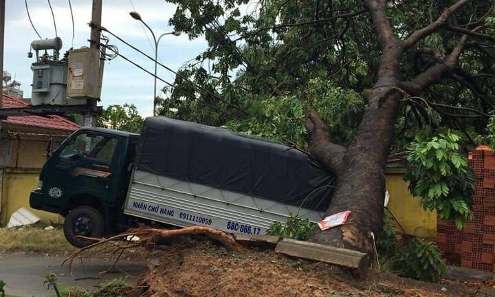 Cây xanh bật gốc, đè gãy trụ điện và sập nhà dân trong mưa dông ở TP.HCM