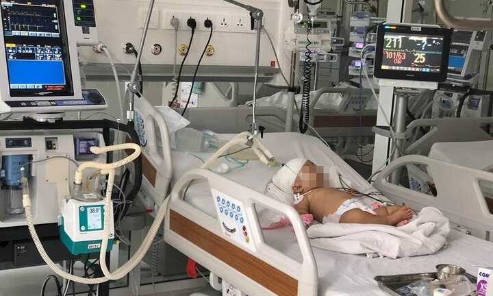 Bé gái 14 tháng tuổi bị khỉ nuôi tấn công đã xuất viện