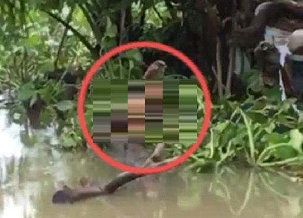 Thi thể người đàn ông đang phân hủy trên sông Sài Gòn