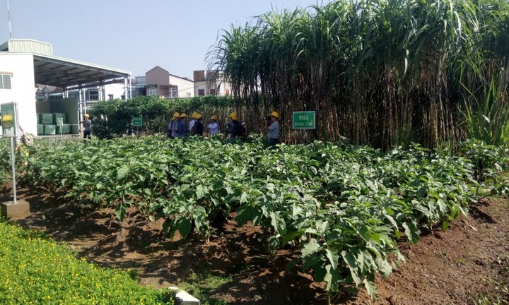 Ajinomoto đang giảm khí thải hiệu quả nhờ áp dụng công nghệ nào?