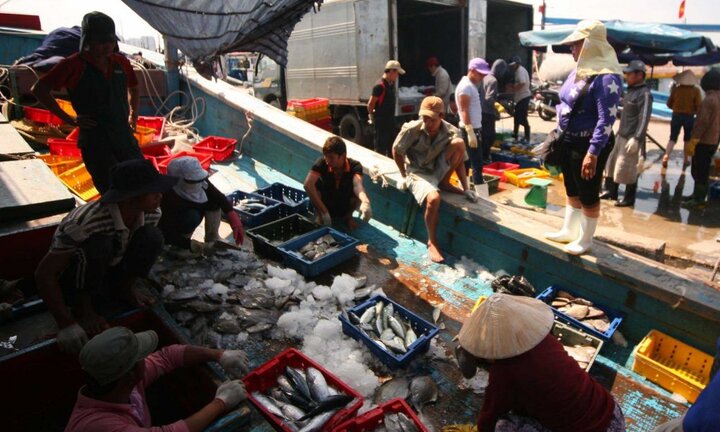 Xuất khẩu thủy sản năm 2018 có thể đạt 8,8 tỷ USD