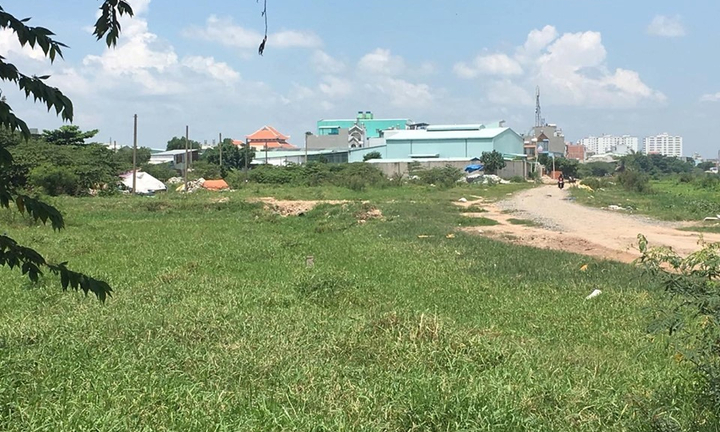 Bắt quả tang người tự xưng phó chủ tịch phường chôn lén 9 con heo chết ở TP.HCM