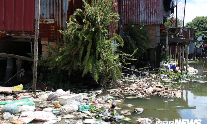 Từ 2020, TP.HCM sẽ không bố trí ngân sách mua sản phẩm nhựa dùng một lần