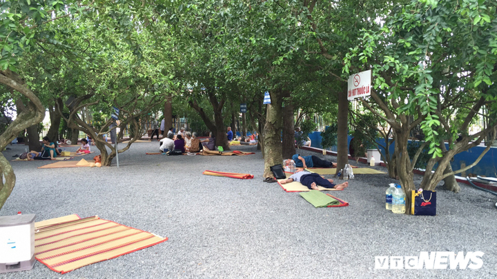 'Khu vườn kỳ lạ chữa bách bệnh' ở Long An giờ ra sao?