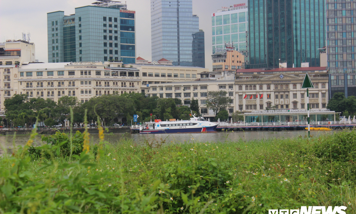 TP.HCM xin lùi thời gian trình đề án sáp nhập 10 phường