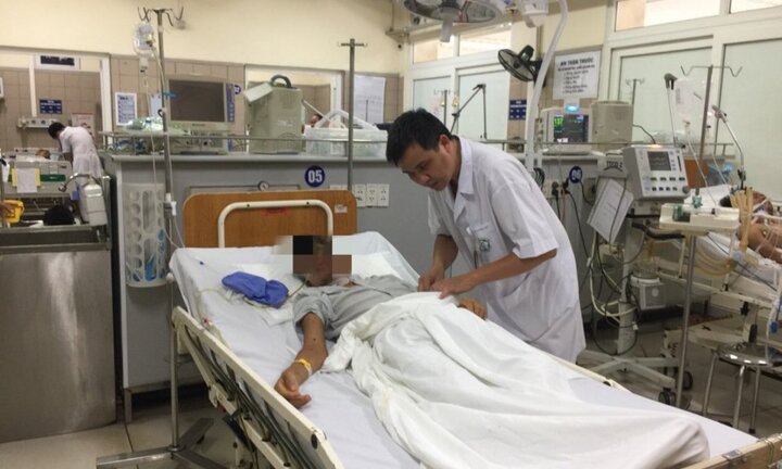 Bị 70 con ong lao vào đốt khắp người, người đàn ông rối loạn hồng cầu, suy tạng suýt chết