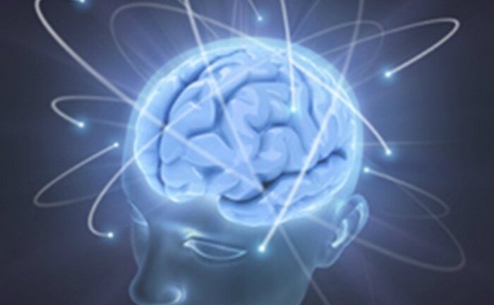 Bộ não nhân tạo giúp bác sĩ nghiên cứu điều trị các bệnh thần kinh