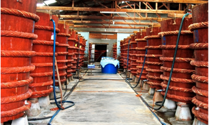 Phân biệt nước mắm truyền thống và nước mắm công nghiệp