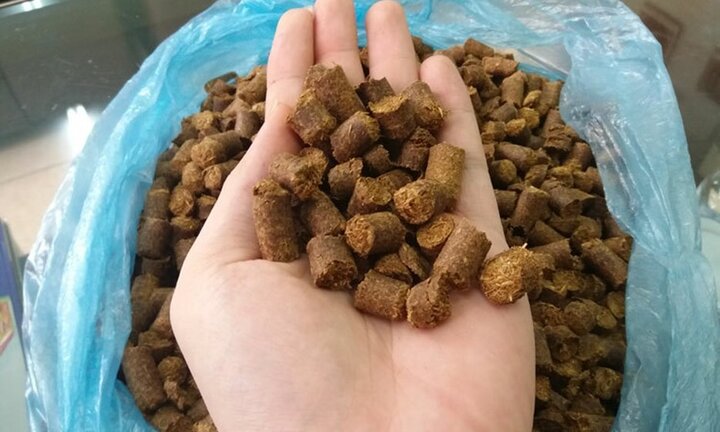 'Mục sở thị' công nghệ chế tạo thức ăn cho gia súc và cây trồng từ rơm, lá mía