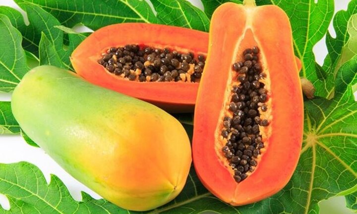 Những loại quả có tác dụng ngăn ngừa ung thư