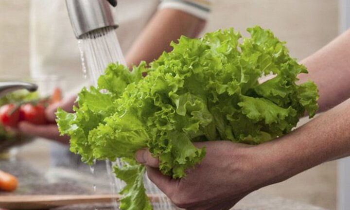 Nhiều người thường xuyên rửa rau sống theo cách sai lầm này