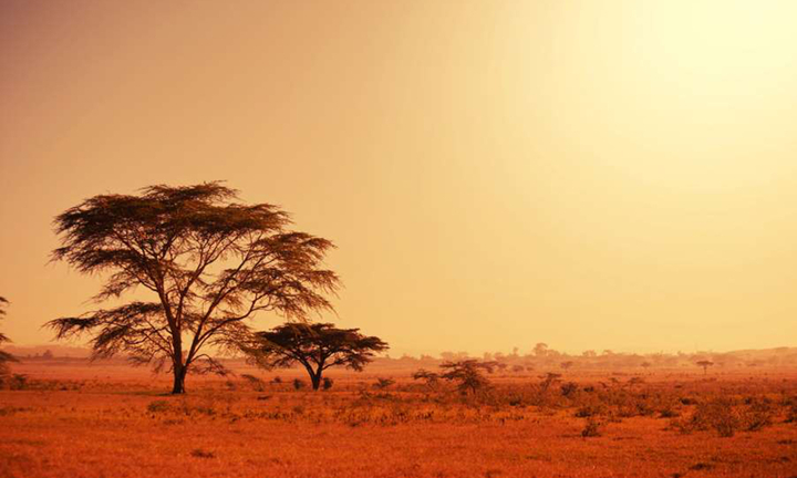 Những điều thú vị khiến bạn ngỡ ngàng về chính nơi mình đang sống