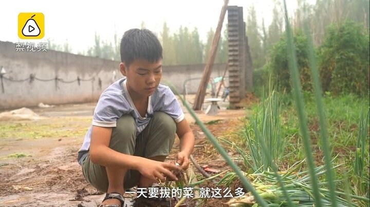 Cậu bé 11 tuổi bán hành mỗi sáng trước khi đến trường, kiếm tiền chữa bệnh cho em