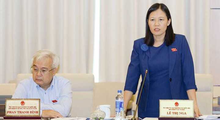 Chủ nhiệm Ủy ban Tư pháp: Có trường hợp lợi dụng quy định để bổ nhiệm người nhà