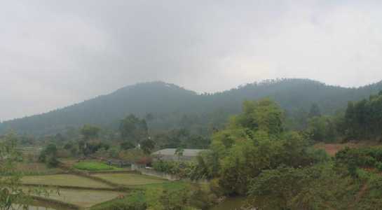 Vĩnh Phúc dừng xây dựng 'siêu' nghĩa trang trên đất rừng Tam Đảo