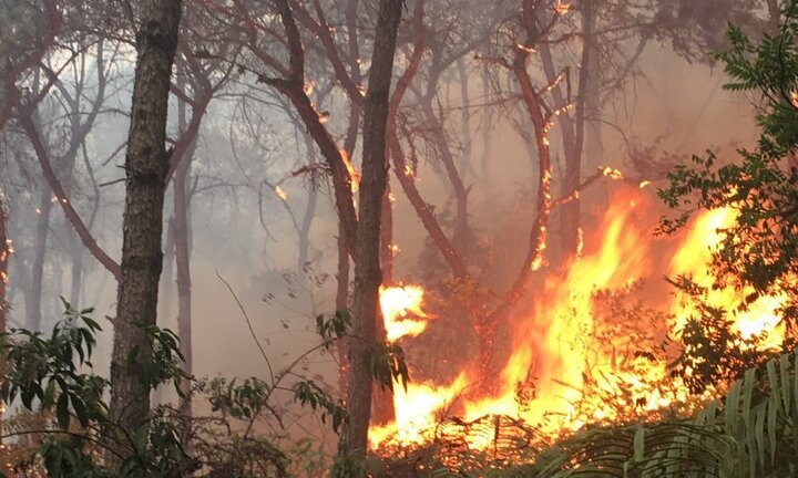 Cháy rừng dữ dội ở Hà Nội: Thông tin mới nhất