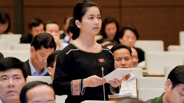 ĐBQH: 'Đất rừng còn bị mang đi bán thì trồng rừng bằng niềm tin hay sao?'
