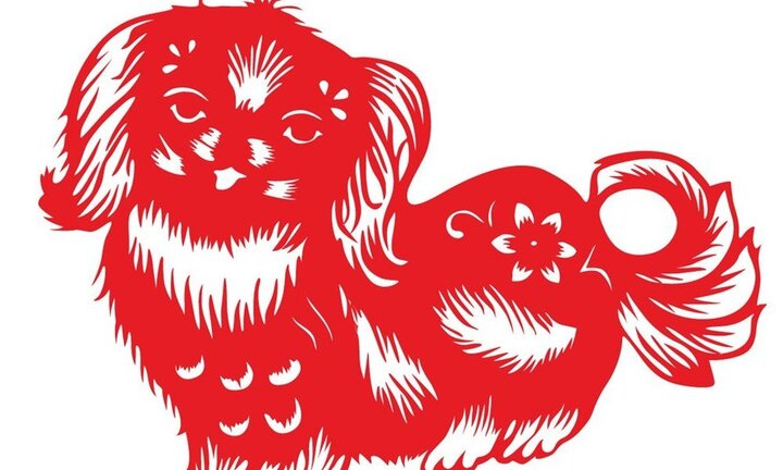 Năm Tuất nói chuyện chó trong thành ngữ tiếng Việt