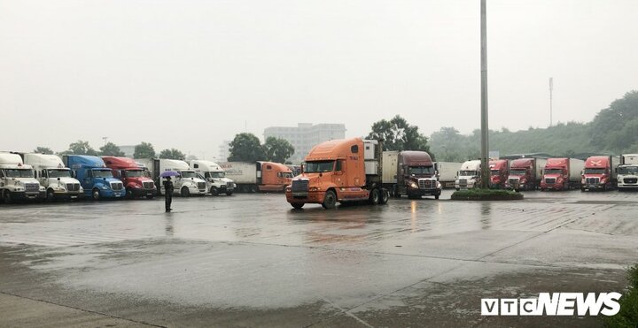 Cục trưởng Cục Bảo vệ thực vật bác tin thanh long rớt giá do Trung Quốc ngừng nhập