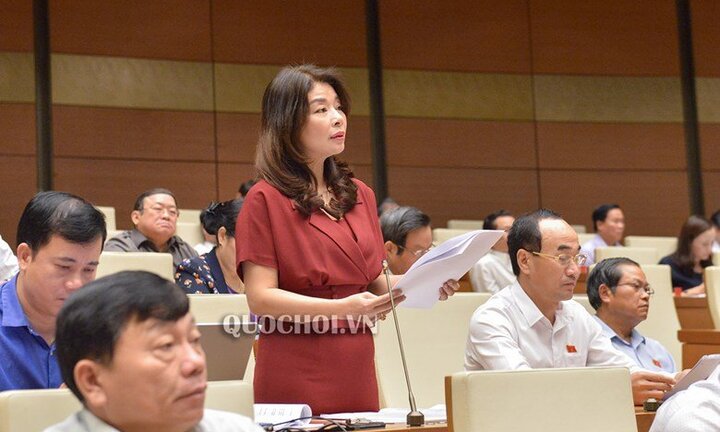 Đại biểu Quốc hội: Kết quả kiểm định trong nước của nhiều đại học khiến dư luận hoài nghi