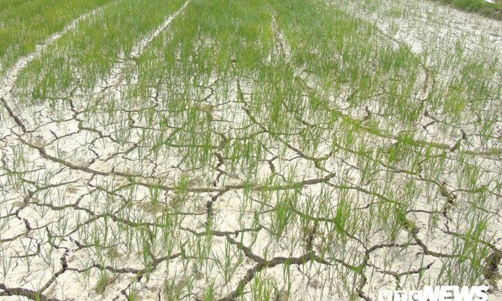 Nắng nóng gay gắt ở Trung Bộ kéo dài đến khi nào?