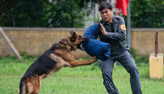 Cuộc đối đầu sinh tử với toán tội phạm có vũ trang của 6 chó nghiệp vụ