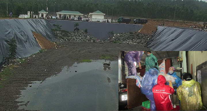 Tiêu hủy gần 300 tấn hải sản bị nhiễm độc tại Hà Tĩnh