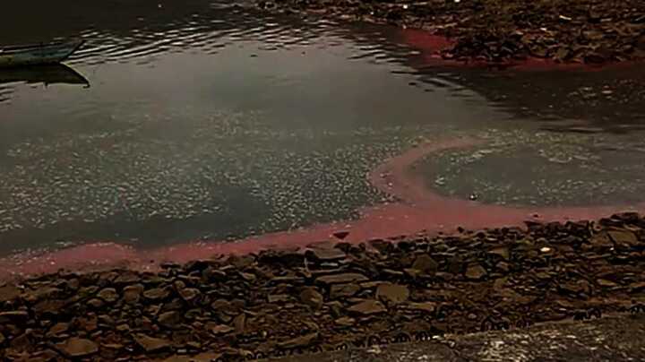 Lại xuất hiện dải nước màu đỏ bất thường ở biển Hà Tĩnh