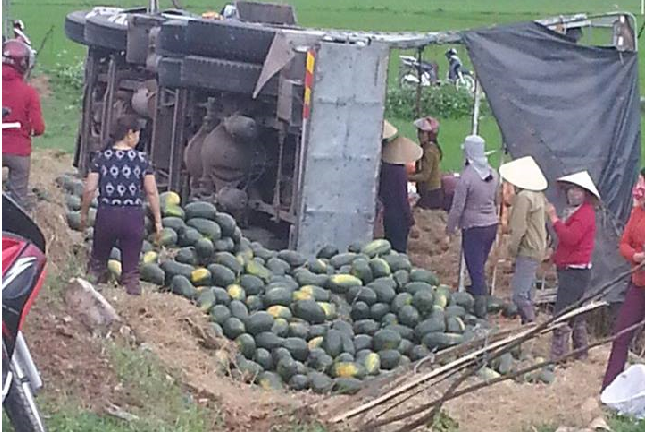 Xe tải mất lái trên quốc lộ, hơn 20 tấn dưa hấu đổ xuống ruộng