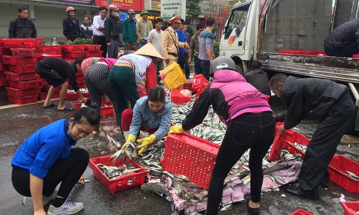 Xe tải chở cá lật giữa quốc lộ, dân kéo nhau thu gom giúp tài xế