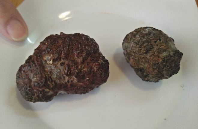 Mổ dê, phát hiện vật nghi 'dương bảo' quý hiếm ở Nghệ An