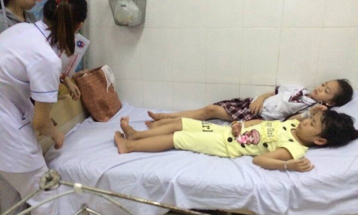 Ăn quả ngô đồng ở trường học, 9 học sinh nhập viện cấp cứu