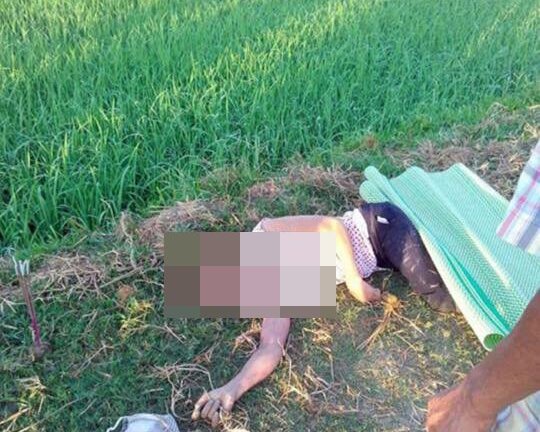 Tá hỏa phát hiện người phụ nữ chết bên ruộng lúa