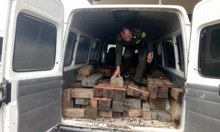 Kiểm lâm Hà Tĩnh truy đuổi như phim hành động, bắt ô tô chất đầy gỗ lậu