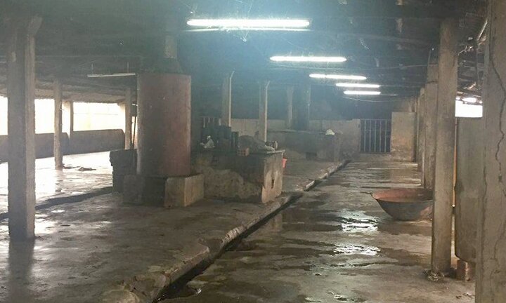 Mâu thuẫn trong lúc mổ lợn, vung dao đâm chết người