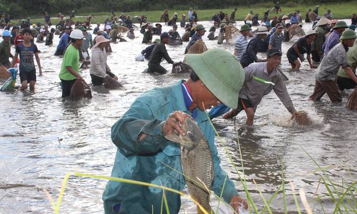 Hàng trăm người dân Hà Tĩnh đội nắng, lao xuống đầm Vực tìm vận may
