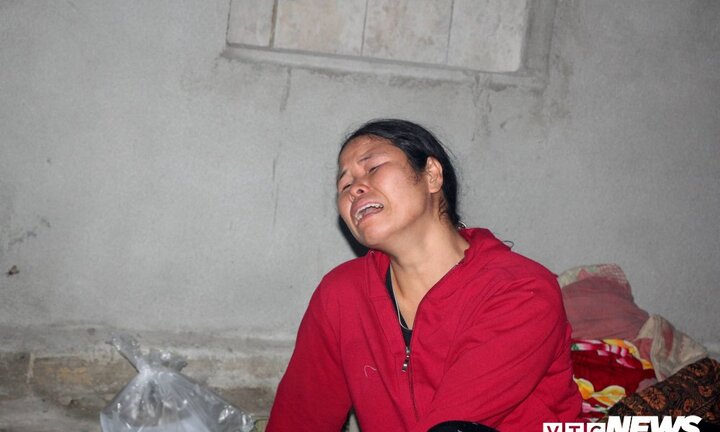 Nữ sinh lớp 9 chết do chó dại cắn: Cơ quan chức năng khuyến cáo gì?