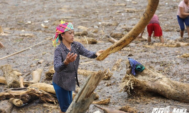 Sau lũ quét khủng khiếp, người dân Mù Cang Chải liều mình vớt 'lộc trời'