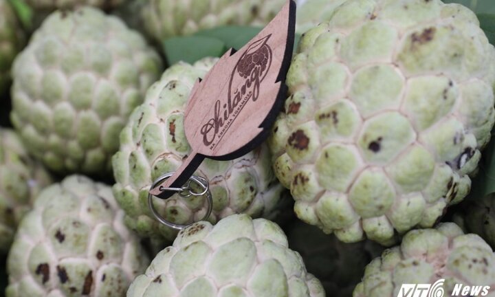 Cận cảnh những quả na 'một người ăn không hết' ở Hà Nội