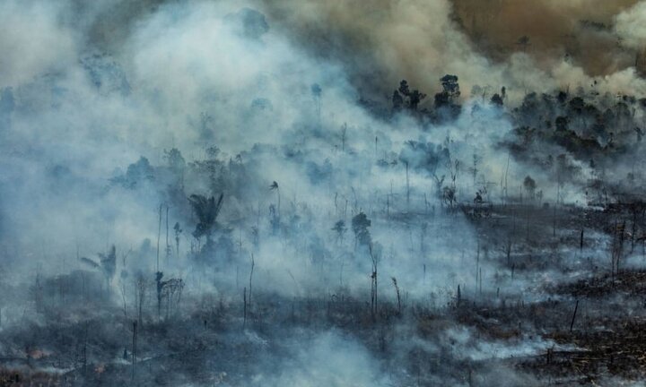 Giới trẻ ngờ nghệch, kiến thức nông cạn, lầm tưởng cháy rừng thành cháy công ty Amazon