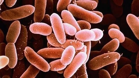 95% trẻ sơ sinh tử vong nếu mắc bệnh này, mẹ bầu cần chú ý