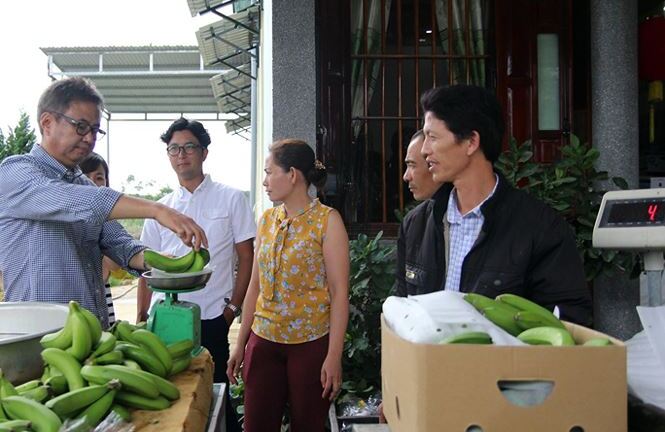 Chuối Laba Lâm Đồng mở đường sang Nhật