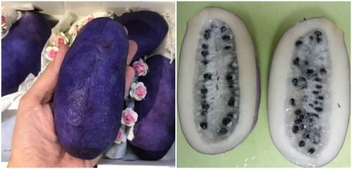 'Nho tím kỳ lạ' Nhật Bản giá gần 300.000 đồng mỗi quả