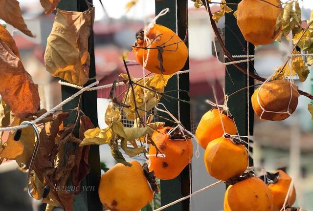 Món ăn gây sốt cộng đồng mạng: Hồng chín treo gió