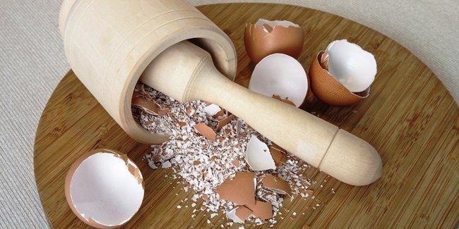 10 tác dụng của vỏ trứng khiến bạn kinh ngạc