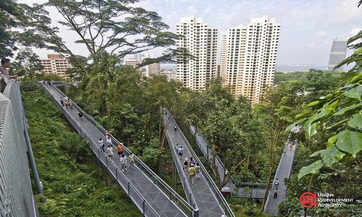 Đô thị Singapore được quy hoạch tỉ mỉ nhất thế giới