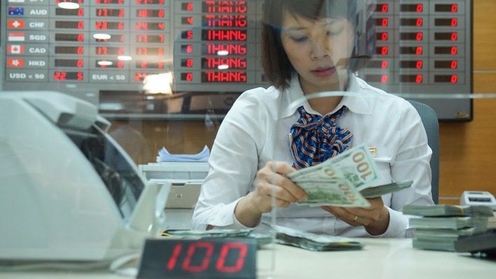 Ngân hàng Nhà nước 'lên lịch hẹn' bán ngoại tệ