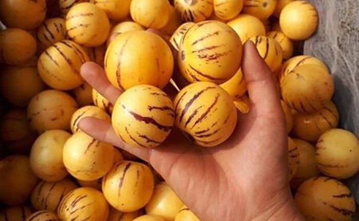 Dân Việt tranh nhau mua quả lạ nhập khẩu từ Trung Quốc