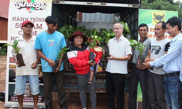 Chương trình hỗ trợ phát triển cà phê Buôn Ma Thuột